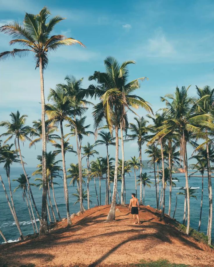 Best Time to Visit Sri Lanka: Month-by-Month Weather Guide
