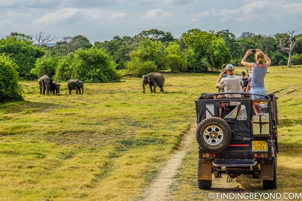 Kaudulla National Park — North Central Province, Sri Lanka