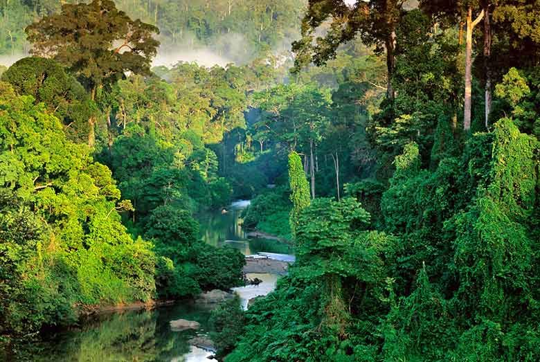 Sinharaja Forest Reserve — Sabaragamuwa Province, Sri Lanka
