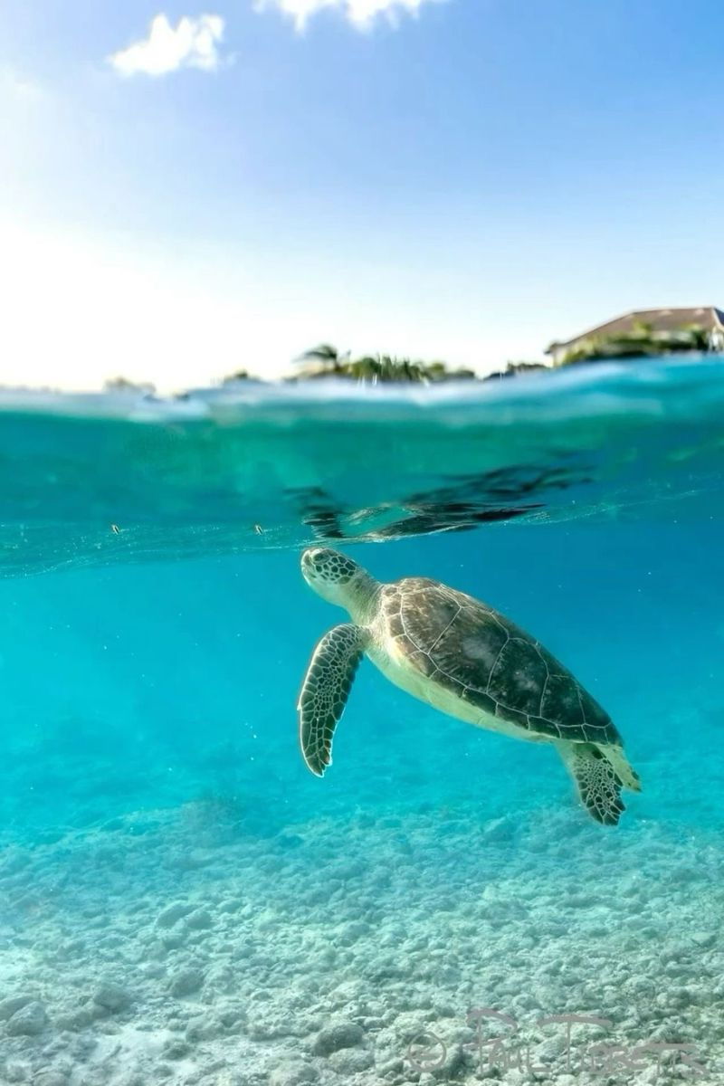 Rekawa Turtle Beach — Southern Province, Sri Lanka