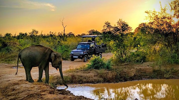 Udawalawe National Park — Sabaragamuwa Province, Sri Lanka